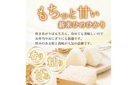 【定期便 全6回】令和7年産米 無洗米ヒノヒカリ 5kg×6回 計30kg（お米 米 ひのひかり 無洗米 国産 人気 お弁当 定期便 宮崎県 小林市）