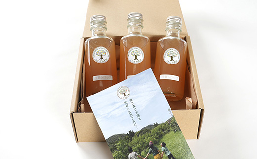 【手作り生姜シロップ(180ml×3瓶)無添加・栽培期間中 農薬不使用・新生姜 A3-34F