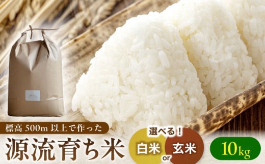 ＜新米 予約＞R7年度産 お山の お米 10kg 白米 玄米 選べる 国産 岐阜 白川町 / Sunpo [AWBC008]