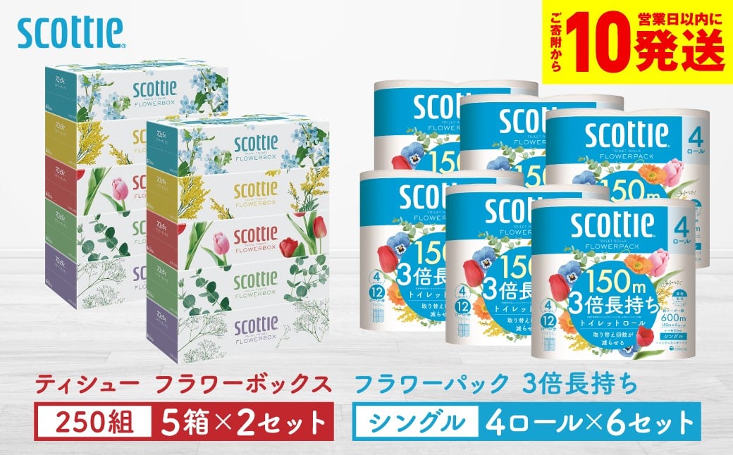 「長持ち」＆「コンパクト」になったスコッティ製品をセットにしてお届け！