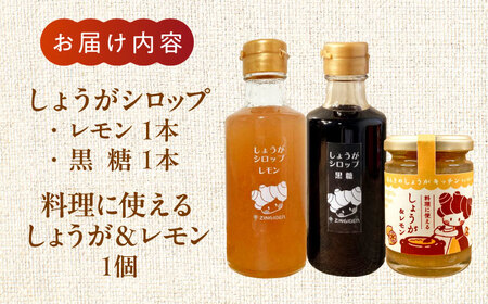 しょうが＆レモン ジャム　生姜 シロップ 2種 レモン・黒糖 セット【ジンジベル】[AYAD010]