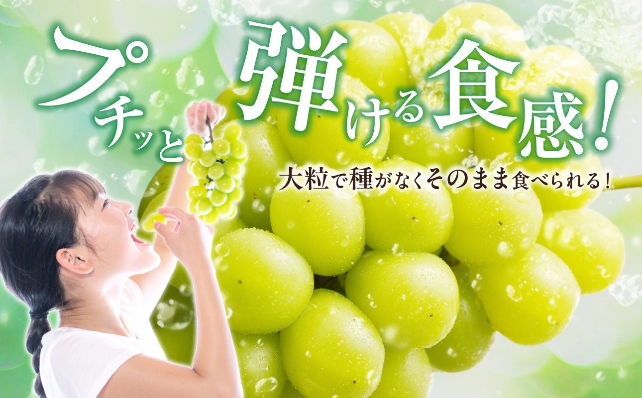 【2025年発送分 先行受付スタート】岡山県産シャインマスカット「晴王」　秀品　1房（約600g）（令和７年8月中旬以降発送）【 シャインマスカット 晴王 フルーツ 果物 葡萄 ぶどう 岡山県産 秀品