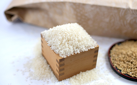 【先行予約】令和7年産 新米 ゆめぴりか 10kg 米 北海道森町濁川産 精米（10月上旬以降順次発送） 森町 こめ お米 米 白米 ゆめぴりか 北海道米 北海道産 北海道 mr1-1052