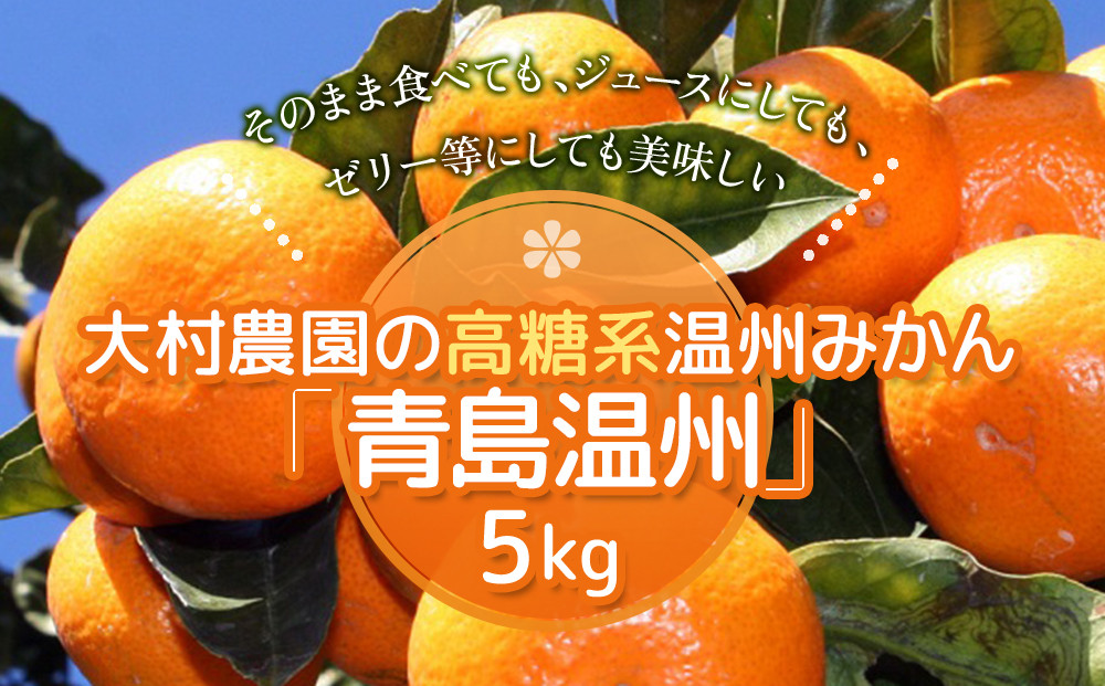 
                  【先行予約】大村農園の温州みかん 青島温州 5kg みかん ミカン 蜜柑 オレンジ 旬のフルーツ 果実 大分県産 九州産 津久見市 国産
                