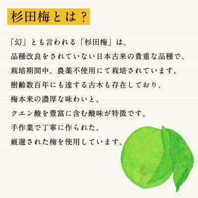 ふるさと納税 小田原市 濃厚梅エキスと漢方のシロップ「うめびん(杉田梅) by Kampo Kitchen」 |  | 02