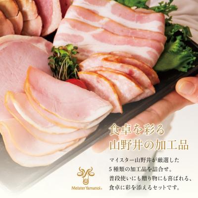 ふるさと納税 南さつま市 【マイスター山野井】ハム・ソーセージ 5種 詰合せ 計18P ギフト 贈答 冷蔵 |  | 01