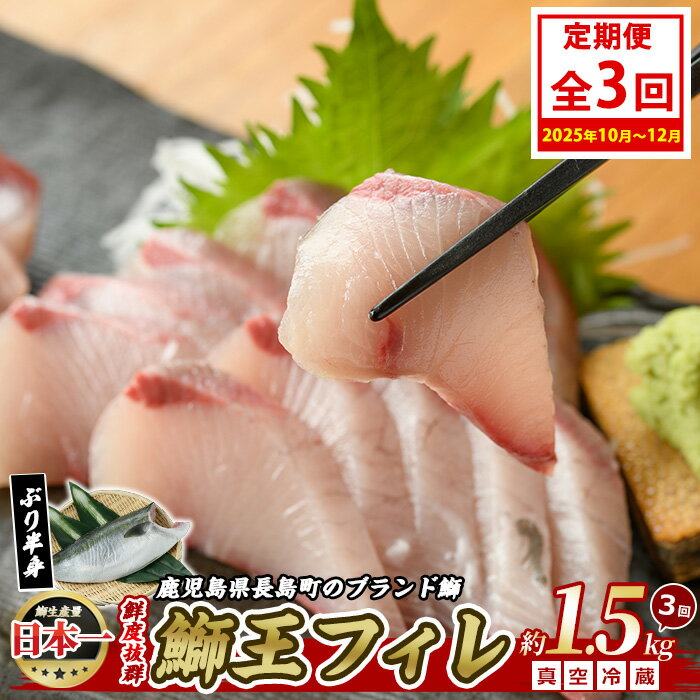 【ふるさと納税】＜定期便・毎月 全3回＞ 鰤王フィレ 定期便 長島町特産「鰤王」フィレ 約1.5kg×1枚 国産 鹿児島県産 鰤 ブリ ぶり 鰤 ぶりおう 冷蔵 海鮮 海産物 魚介 背身 腹身 ブランド 魚 真空パック 刺身 ぶりしゃぶ しゃぶしゃぶ 海鮮丼 産地直送【JFA】jfa-1483A