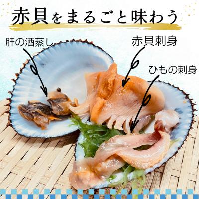 ふるさと納税 名取市 【閖上赤貝】まるごと赤貝　6個入り |  | 02