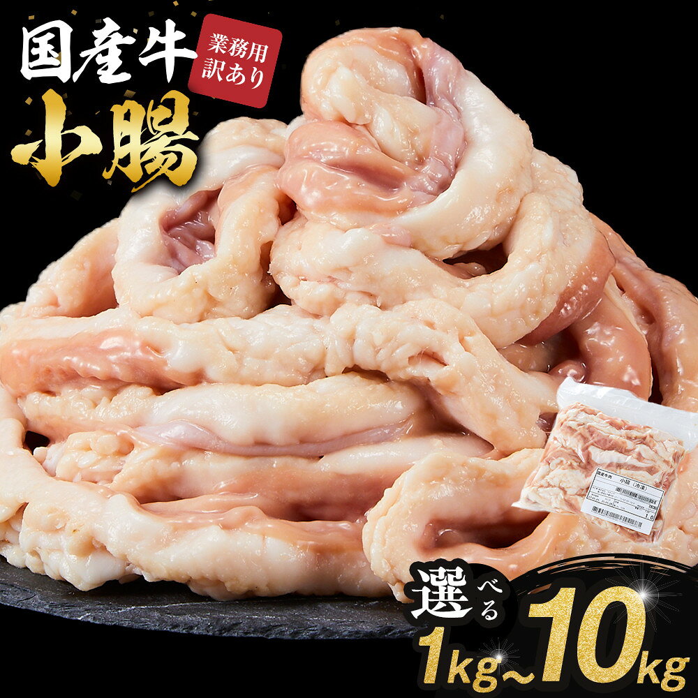 【ふるさと納税】《業務用・訳アリ》国産牛　小腸 | 肉 お肉 にく 牛肉 小腸 ホルモン 訳あり 訳アリ 業務用 国産牛 食品 人気 おすすめ 送料無料 ギフト