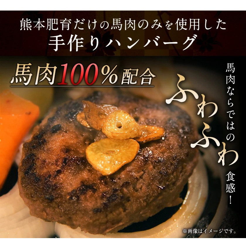 手作りハン馬ーグ 100g×10個 馬肉100%配合！【純国産馬肉使用】【熊本肥育】《30日以内に出荷予定(土日祝除く)》---mna_fkgumburg_30d_23_12000_10k---