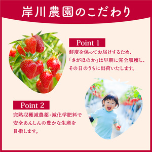 さがほのか 880g (220g×4p)