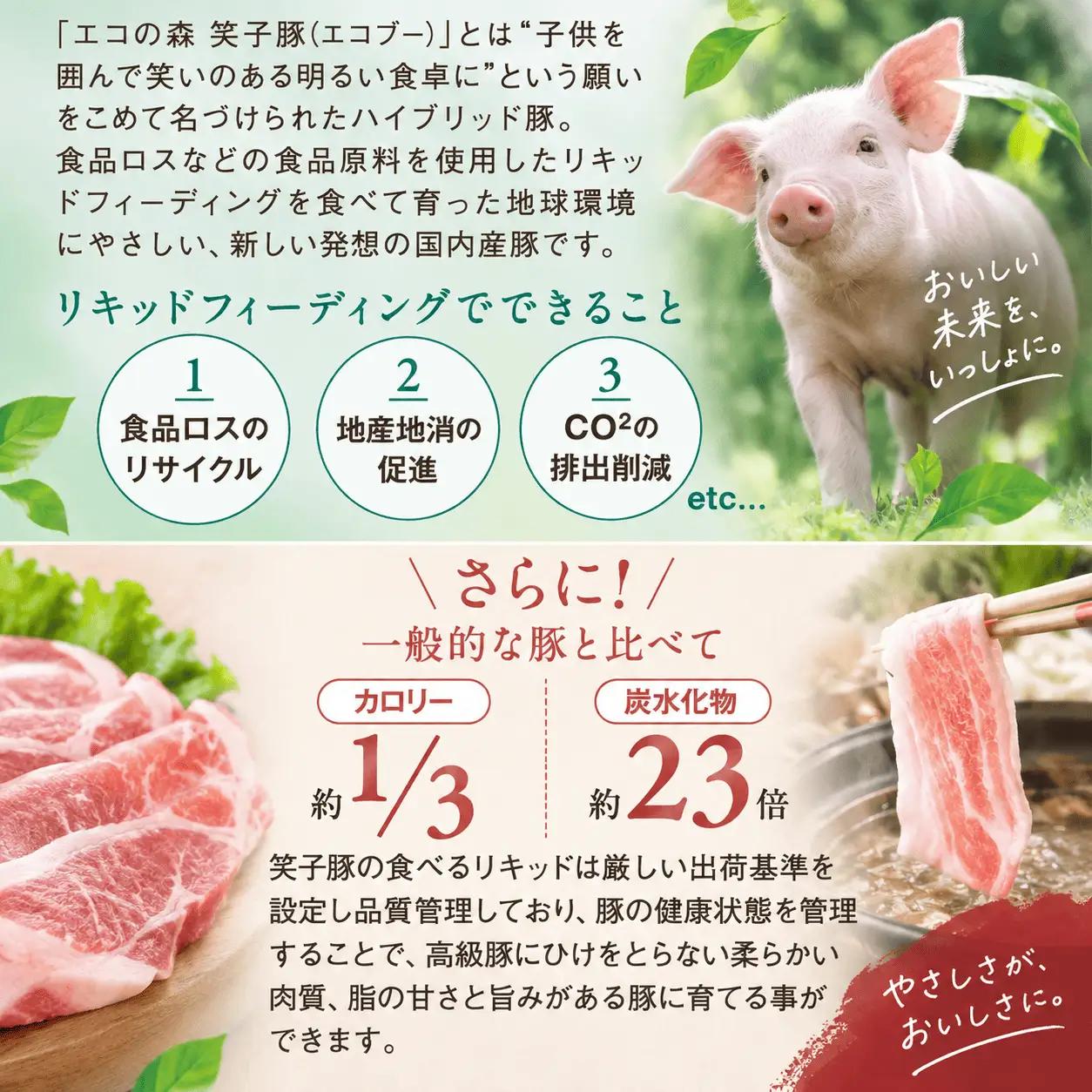 豚肉 肩ロース 小分け スライス 500g (250g×2) 真空パック 冷凍 笑子豚 肩ロース肉 豚肩ロース 焼き肉 炒め物 岩手県 金ケ崎町