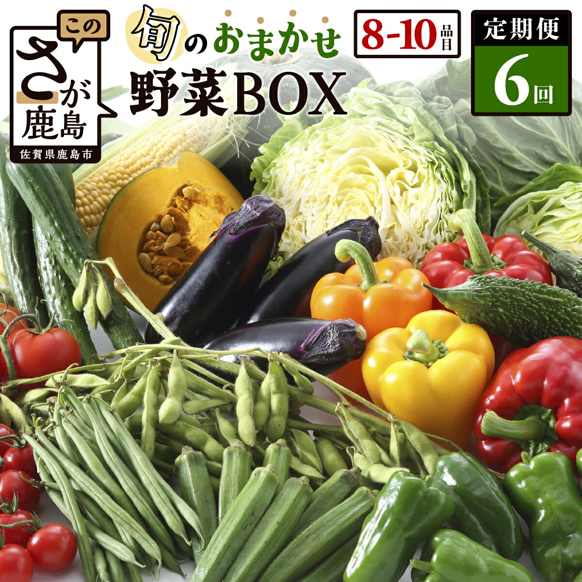 【ふるさと納税】レビューキャンペーン【選べるサイクル】野菜 定期便 6回 旬のおまかせ野菜BOX 6ヶ月 8~10品目 | ふるさと納税 野菜 定期便 定期 やさい 定番 野菜 セット 詰め合わせ 旬 新鮮 産地直送 大容量 ふるさと 佐賀県 鹿島市 人気 送料無料 E-72