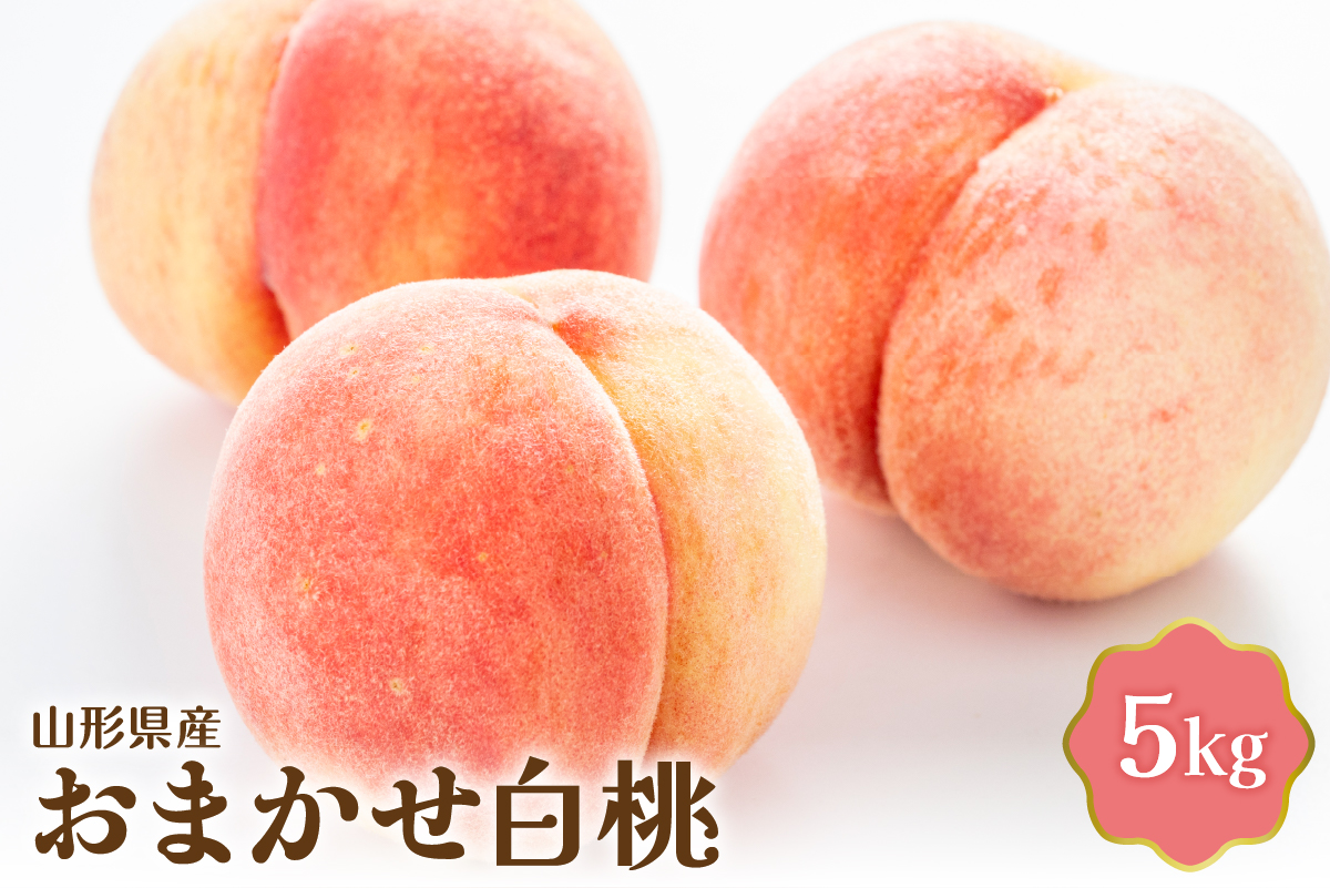 【令和8年産】おまかせ白桃 5kg【JAさがえ西村山】 ka008-013e-r8