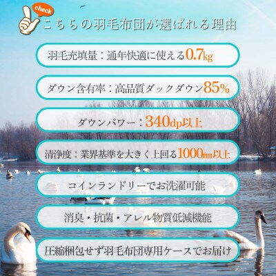 抗菌ダウン85% 0.7kg 合い掛け羽毛布団シングル (無地アイボリー)【筑後七国羽毛ふとん】