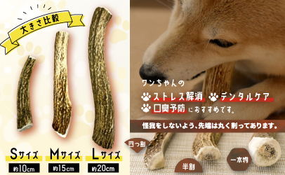 犬用「鹿の角」Ｌサイズ×1本[53-1349]