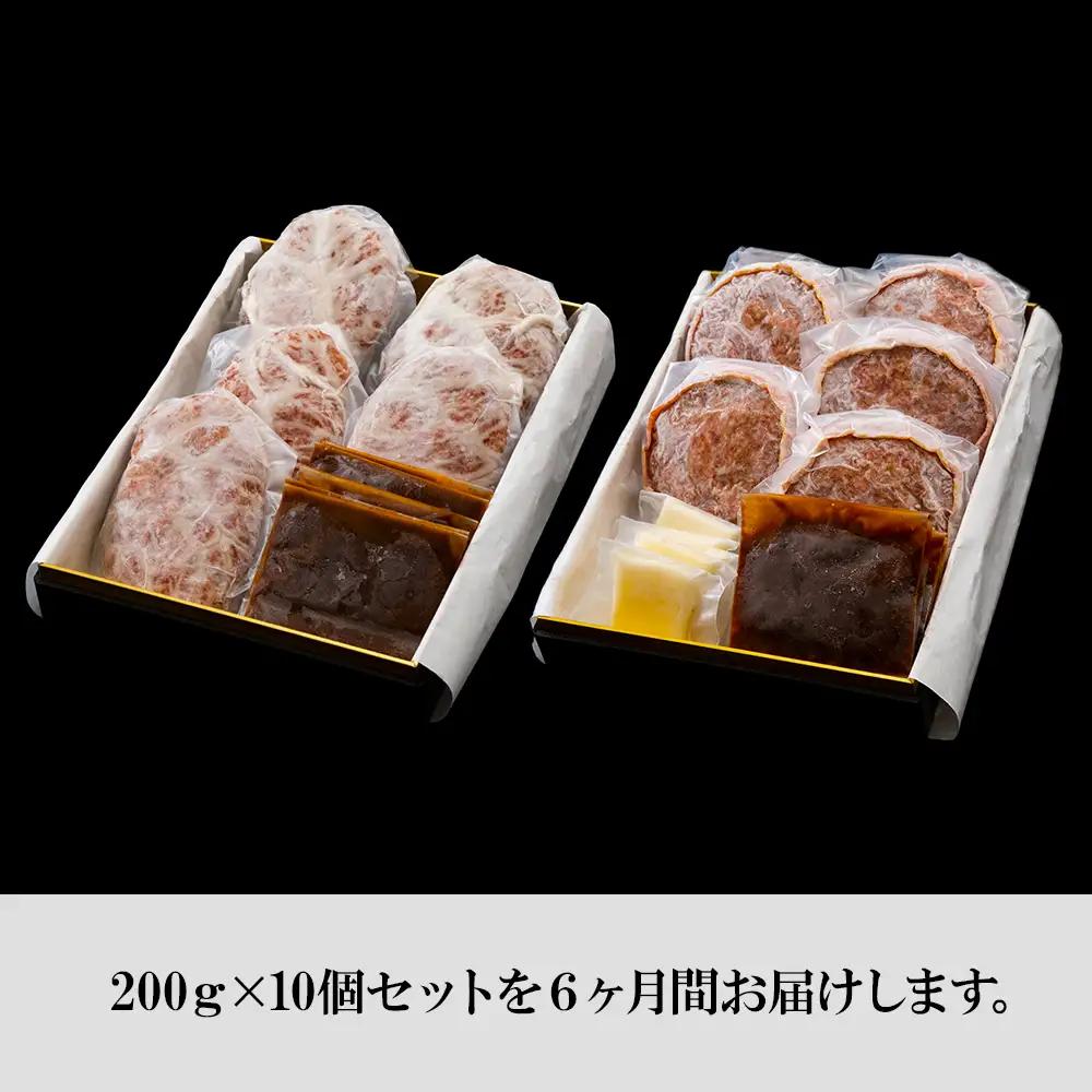 定期便6カ月 お楽しみ 白老牛 2種 食べ比べ ハンバーグ セット 合計10個 BY107