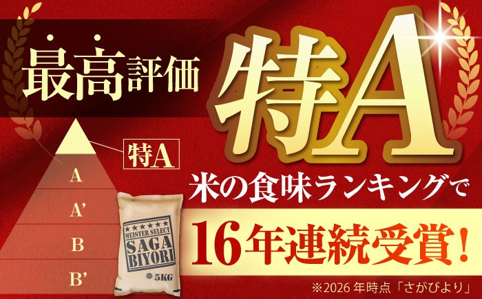 【全12回定期便】さがびより 白米 5kg【五つ星お米マイスター厳選】 [HBL021]