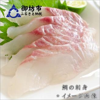 【8002-2】御坊産鮮魚セット 5kg 【定期便】(年4回お届け)【配送不可地域】沖縄・北海道・東北・九州