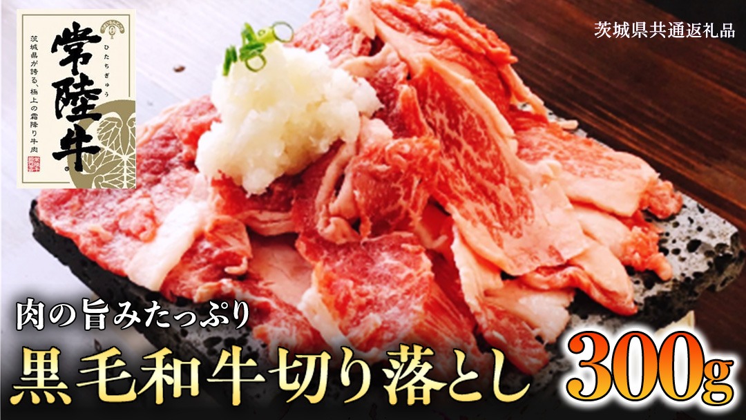 【和牛】常陸牛 厳選 切り落とし 肉 300g ( 茨城県共通返礼品 ) 国産 焼肉 焼き肉 バーベキュー BBQ ブランド牛 黒毛和牛 赤身 牛肉 ギフト 贈り物 お祝い 贈答 [BQ004us]