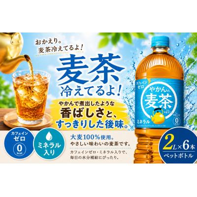 ふるさと納税 東海市 日本コカ・コーラ やかんの麦茶 from 爽健美茶 2L×6本 ペットボトル ケース |  | 01
