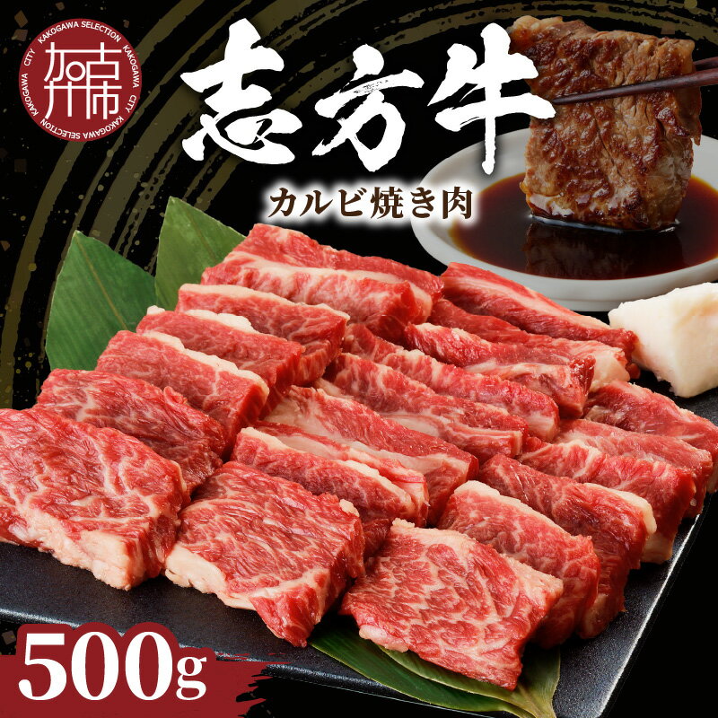 【ふるさと納税】【レビューキャンペーン】★選べる発送月★志方牛カルビ焼肉(500g)《 牛肉 牛 和牛 国産 焼肉 おすすめ カルビ 赤身 美味しい バーベキュー 志方牛 送料無料 お取り寄せ 選べる 選べる発送月 選べる発送月 贈答用 ギフト 贈り物 》