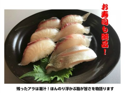 配送日指定可【新姫　熊野しまあじ】 3枚おろし 冷凍 水谷水産【mzsi0005-2】