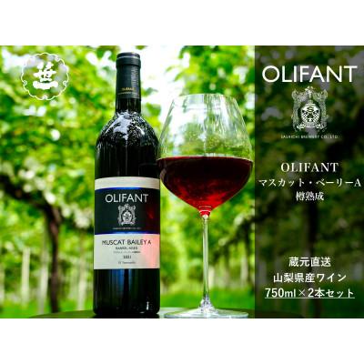 ふるさと納税 大月市 【山梨ワイン】蔵元直送「OLIFANTマスカット・ベーリーA樽熟成750ml×2本セット」