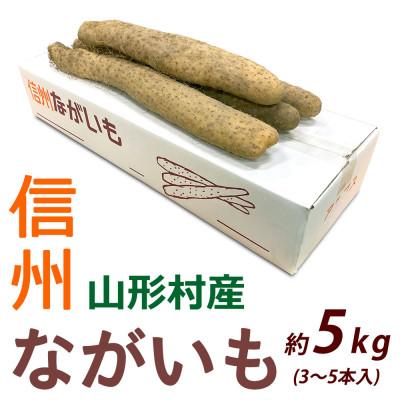 ふるさと納税 長野県 信州山形村産「長いも」5kg
