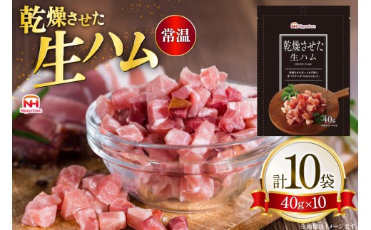 乾燥させた 生ハム 40g 10袋 [日本ハムマーケティング 青森県 おいらせ町 oi02ayo820023] ハム 常温 乾燥生ハム おつまみ 小袋 小分け 日本ハム 個包装 手軽 はむ 肉 お肉 晩酌 常備食 加工品 家飲み 常温保存 サラダ おかず トッピング
