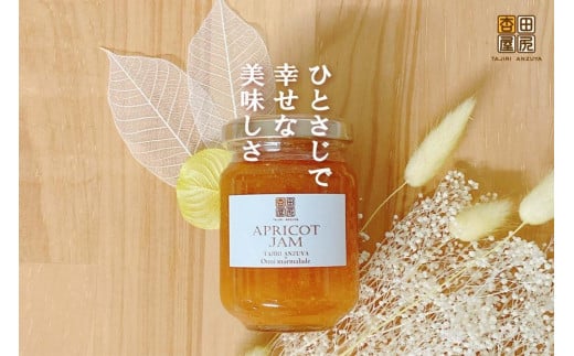 
            ジャム 田尻あんずのアプリコットジャム 120g 1個入り 広島県福山市/田尻杏屋 あんず アプリコット 杏 フルーツ 果物 [BAEK002]
          