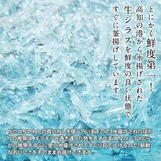 t199mmk　〈12ヶ月定期便〉訳あり 釜揚げシラス 500g×2個 定期便 定期コース 12ヶ月 しらす シラス 釜揚げ 新鮮 塩分控えめ 離乳食 わけあり ワケあり 不揃い しらす丼 海鮮丼 お