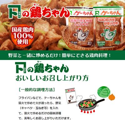 ふるさと納税 下呂市 ケーちゃん10個入り(みそ味・しょうゆ味 各230g×5個)けいちゃん 鶏ちゃん【8-1】 |  | 01