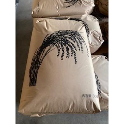 ふるさと納税 東かがわ市 はなまる農園の令和7年産新米　虹のきらめき　玄米30キロ |  | 01