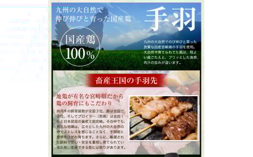 【宮崎空港で大人気!】TV某番組で餃子日本一獲得!＜馬渡の手羽餃子18本＞2～3週間以内に順次出荷 餃子の馬渡 手羽先餃子 国産100％ 宮崎餃子 特産品