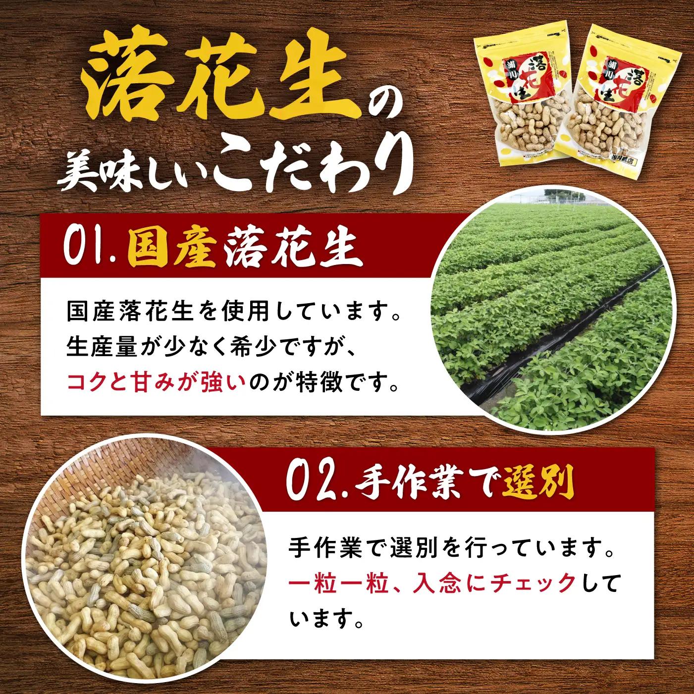 殻付き 落花生 合計約600g（300g×2袋） ピーナツ おつまみ 大村市 浦川豆店[ACZR018]