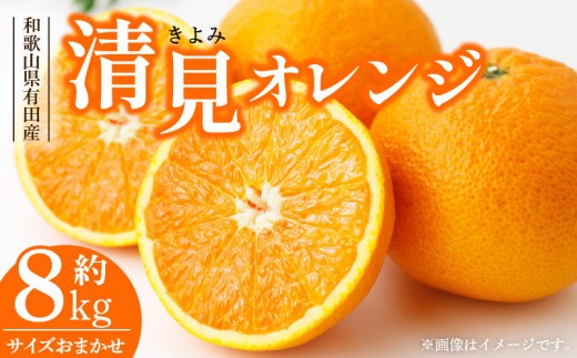 
                  清見オレンジ [約8kg] 和歌山県有田産 春みかん (果実サイズおまかせ) 春みかん 紀伊国屋文左衛門本舗 ※日時指定不可_V7414
                