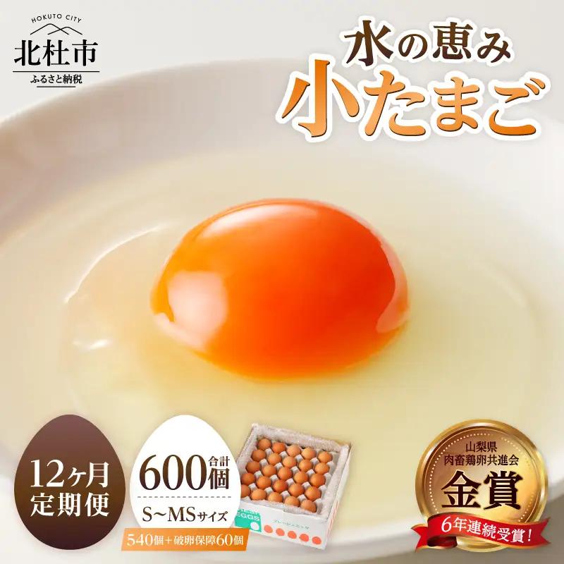 【12ヶ月定期便】水の恵み小卵　たまご S?MSサイズ 45個 破卵保証5個 計50個 鶏卵 小玉 山梨県 北杜市産 卵 [h081]