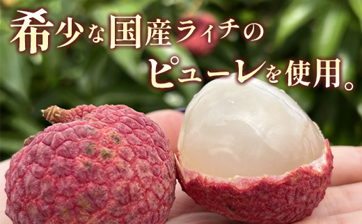 ライチゼリー 8個 フルーツゼリー ギフト 特産品 お取り寄せ 宮崎県 新富町【B453】