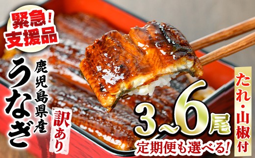 
                  【緊急支援品】＜容量が選べる＞＜訳あり＞鰻の蒲焼き(無頭)＜計約480g～750g(3～6尾)/定期便・計約960g(3～4尾×2回)＞(タレ、山椒付) うなぎ ウナギ 鰻 蒲焼き 国産うなぎ 国産 九州産 鹿児島 鹿児島県産 人気 ランキング 高級 おすすめ 支援【アクアおおすみ】
                