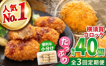 【全3回定期便】横須賀コロッケ 40個 1.8kg ころっけ 冷凍 揚げ物 惣菜 コロッケ 横須賀【有限会社丸伸商事】 [AKFH015]