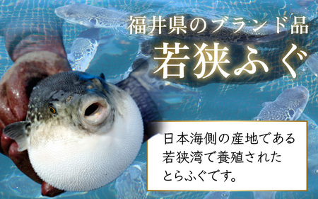 【先行予約】【着日指定】 【冷蔵でお届け】 若狭ふぐ てっさ セット 2人前【2024年9月より順次発送】 [B-005005]