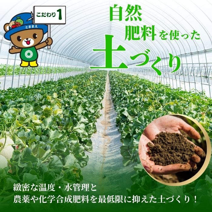【2026年7月中旬から発送】とままえメロン 2玉 計3.2kg前後 大玉サイズ 北海道産 先行 予約 受付 赤肉 甘い 糖度14度 旬 産地直送 めろん フルーツ 果物 デザート 北海道 苫前町 と