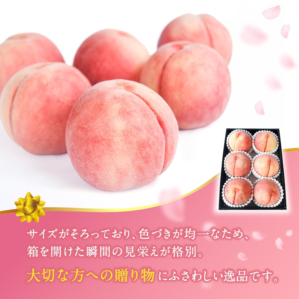 【2026年発送分先行予約】数量限定！【モモ】川中島白桃 約2kg 6個入 100個に1個の特選最上級秀品！ こだわり農家厳選！【2026年7月末から8月末順次発送】/ 和歌山県 もも 桃 高級 贅沢