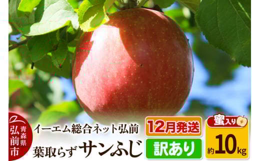 【25年12月発送】りんご【訳あり】葉取らず サンふじ 約10kg 糖度 13度以上【蜜入り】EMりんご