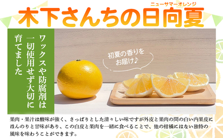 ＜木下さんちのニューサマーオレンジ 家庭用 約5kg（大中小サイズ混み）＞ 柑橘類 日向夏 ミカン 蜜柑 果物 くだもの フルーツ 国産 特産品 木下農園 愛媛県 西予市【常温】『2027年4月上旬～