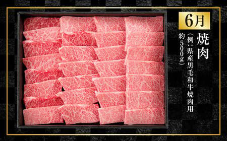 【年4回定期便】くまもと肉の極み定期便① 黒毛和牛 和牛 定期便 熊本県産 肉 お肉 牛肉 牛 国産