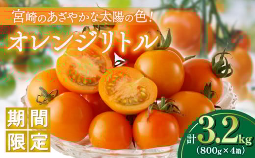 ≪期間限定≫オレンジリトル(合計3.2㎏) ミニトマト 野菜 サラダ 国産_T040-0041