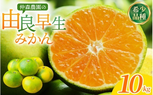 
                  【数量限定】みかん 仲森農園の由良早生みかん 約10kg | みかん ミカン 蜜柑 温州みかん 温州ミカン ゆら早生 柑橘 フルーツ 果物 くだもの 甘い 旬 人気 果汁 濃厚 ジューシー デザート 産地直送 農家直送 みかん 国産 お取り寄せ 新鮮 期間限定 季節限定 先行予約 おすすめ 三重県 熊野市【2026年11月上旬頃～11月中旬頃に順次発送】【nkmr0022】
                
