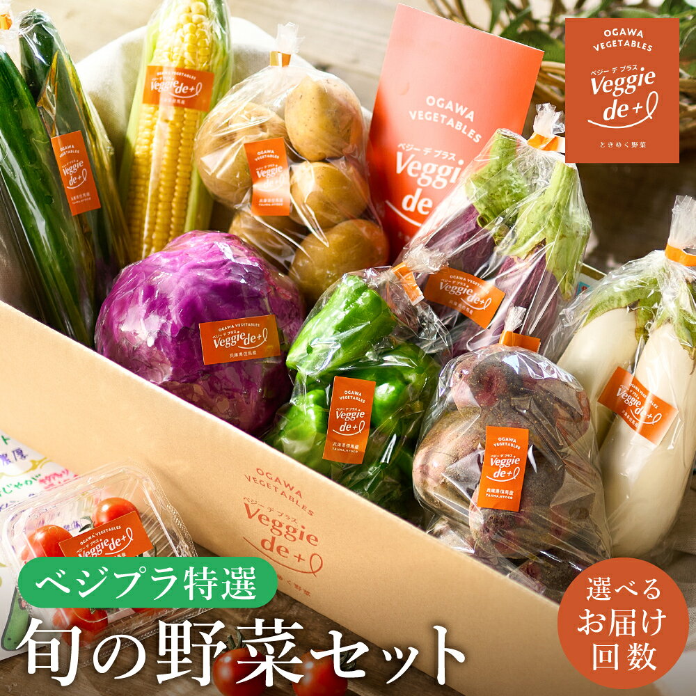 【ふるさと納税】旬の新鮮なお野菜を産地直送！ベジプラ特選 旬の野菜セット 選べる定期便1回・4回・12回 / 野菜 詰め合わせ セット 野菜セット やさい 苦みが少ない 甘い【野菜例：キャベツ 水菜 ミニトマト レタス とろり葱 ほうれん草 etc】